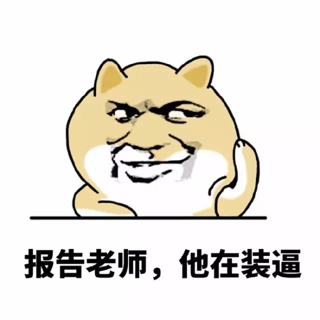 新人快跑小黄狗表情包,搞笑小黄狗表情包