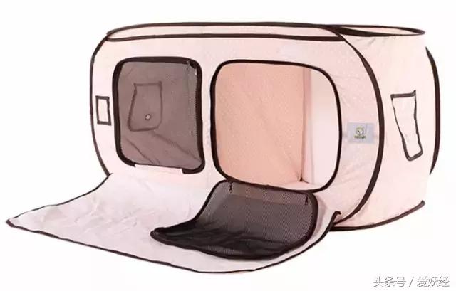 爱妖经｜赛场猫咪同款用品，主子们都拒绝不了的诱惑