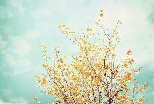 执业护士考试真题重难点,2017护士执业资格考试轻松过