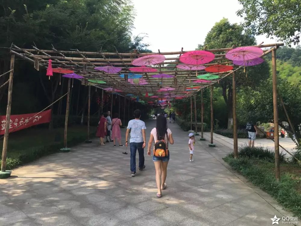 宜兴江南竹海,大美宜兴竹海