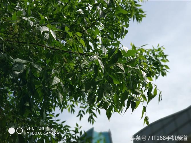 小米6变焦双摄拍人更美,小米6拍照长焦