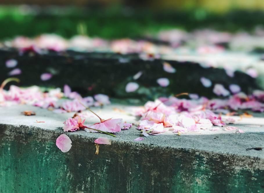 你有冷香丸吗？你还在谷雨过敏吗？