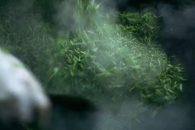 你有冷香丸吗？你还在谷雨过敏吗？