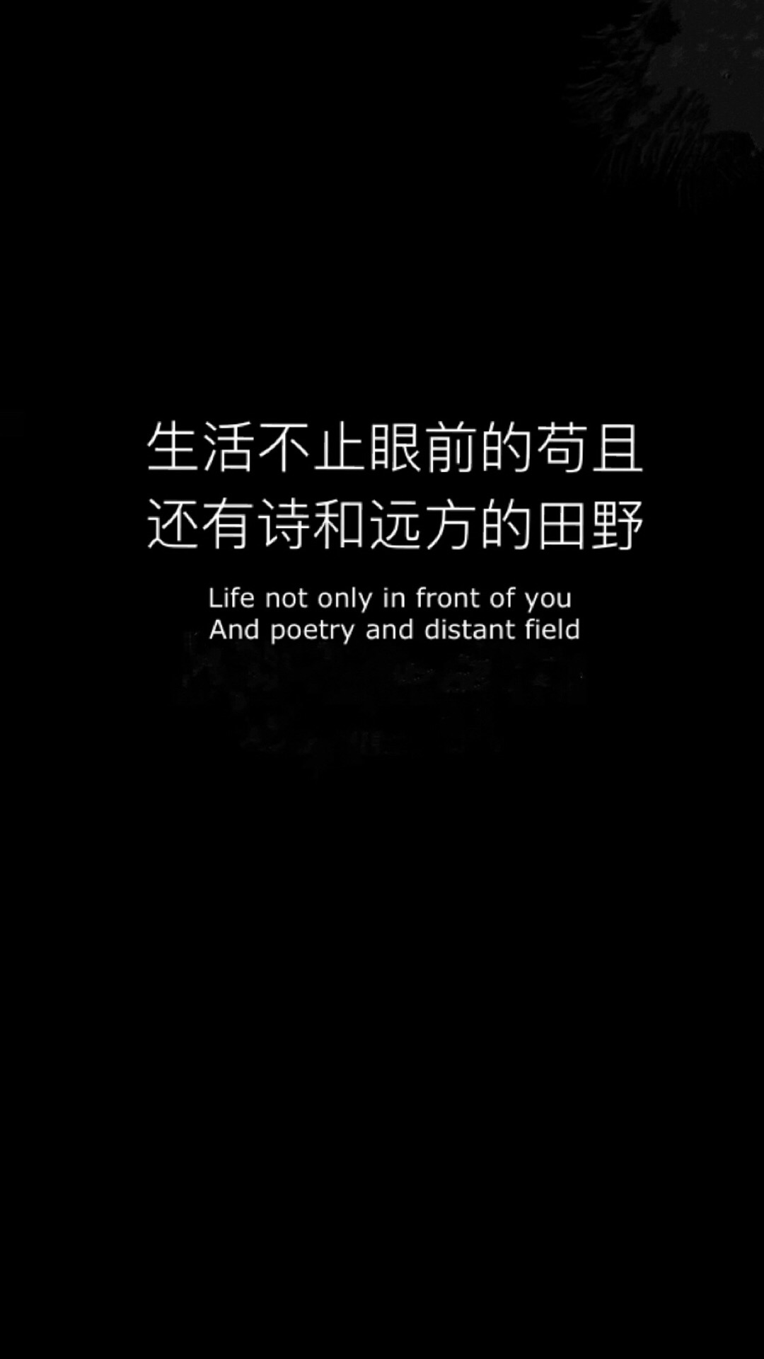 壁纸文字控520爱情壁纸女生,壁纸文字控软件