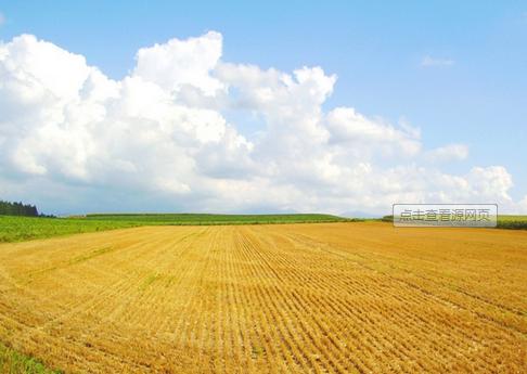 超生子女没地怎么办,超生小孩村里不给分配怎么办