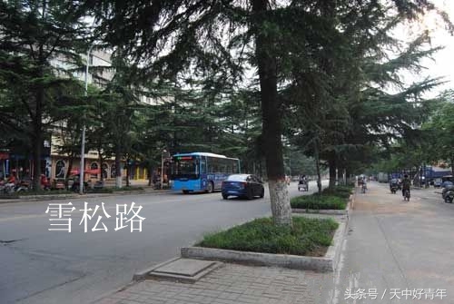 驻马店人文历史介绍,驻马店各县区地名的来历