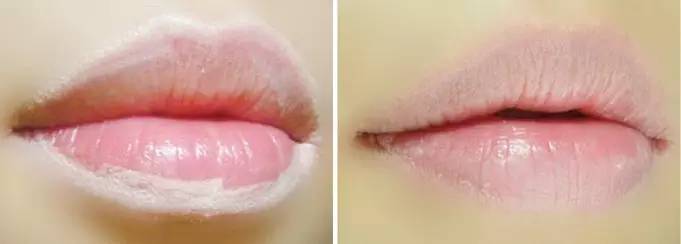 伊蒂之屋值得买的东西,人人都买的房子会怎么样