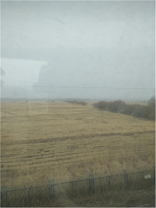 和田玉游记l看过纯羊毛鞋垫吗？喜洋洋美羊羊都有