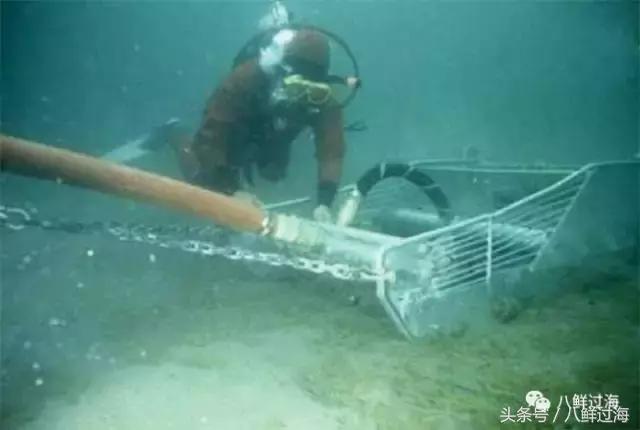 鍔犳嬁澶у寳鏋佽礉鎺ㄨ崘,榛勯噾璐濆寳鏋佽礉