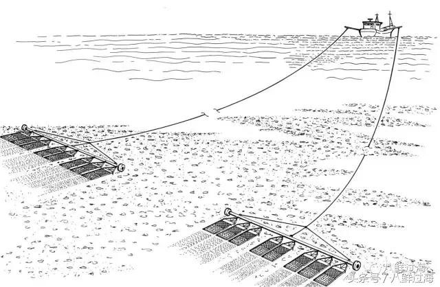 鍔犳嬁澶у寳鏋佽礉鎺ㄨ崘,榛勯噾璐濆寳鏋佽礉