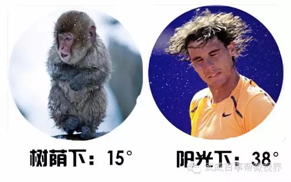 武威人的十大特征,武威人长相特征