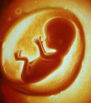 如何看b超单结果详解,教你如何轻松看懂b超单