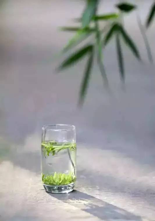 竹叶青与君子情,一杯竹叶青最新视频