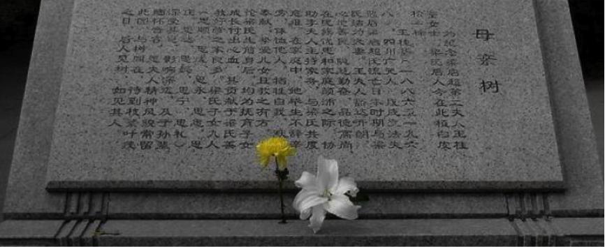 她把自己放得很低很低，把对丈夫和孩子的挚爱举得很高