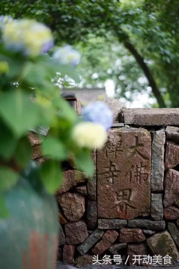 与其海岛晒成狗，不如坐拥江南最美私家湖景