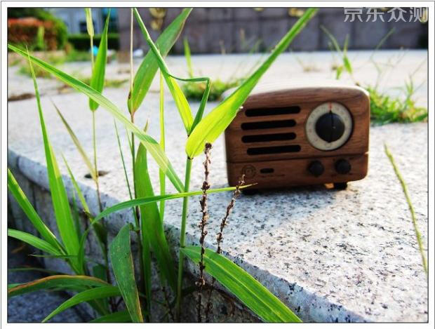 颜质俱佳，书房绝配——猫王小王子体验报告