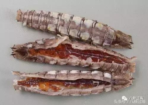 比手臂还粗的皮皮虾你吃过了吗,比手臂还要大的皮皮虾你吃过没有