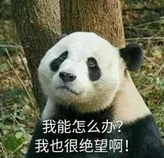 这些化妆品全是山寨有你用过的吗,这些爆红的化妆品其实很鸡肋无用