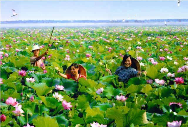 对不起我要去天津了,对不起我要去西安了