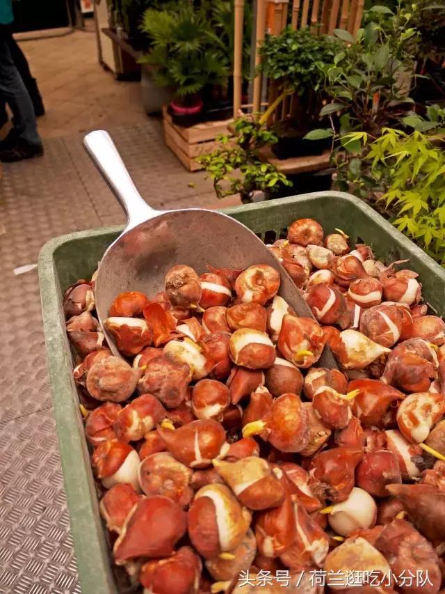 旅行必看|它是全球唯一的水上鲜花市场,买花逛吃两不误!