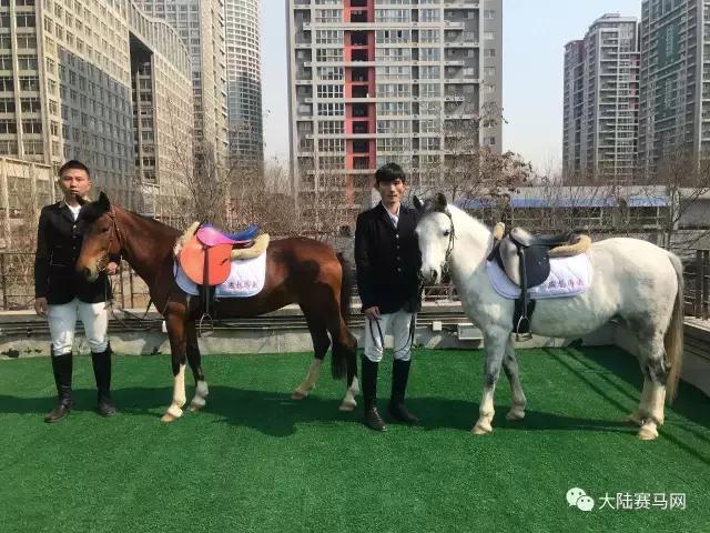 燕龙马业最新资讯,燕龙马业集团有限公司