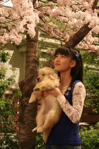 带你家狗狗一起看的电影,带宠物一起去看电影吧