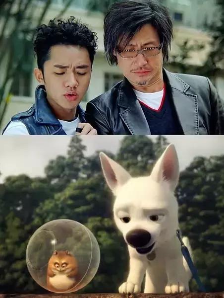 带你家狗狗一起看的电影,带宠物一起去看电影吧