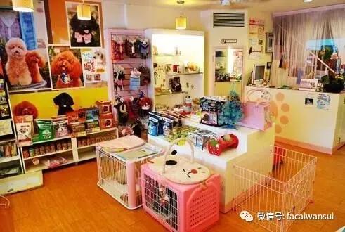 开个最简单的宠物店需要多少钱,养宠物赚钱开宠物店一年能赚多少