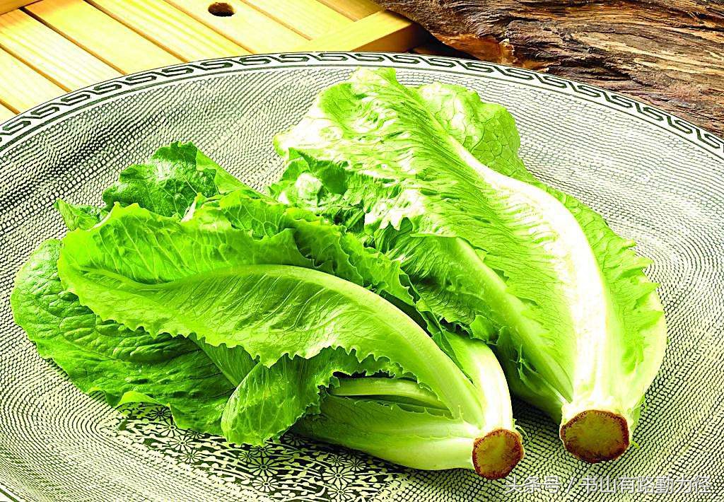 汉堡有助于减肥,汉堡对于减肥有影响吗