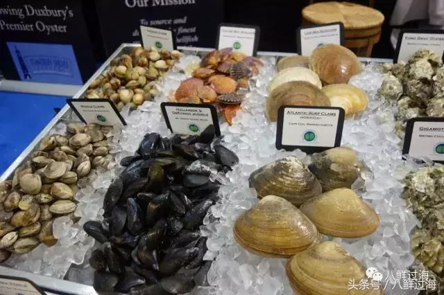 鍔犳嬁澶у寳鏋佽礉鎺ㄨ崘,榛勯噾璐濆寳鏋佽礉