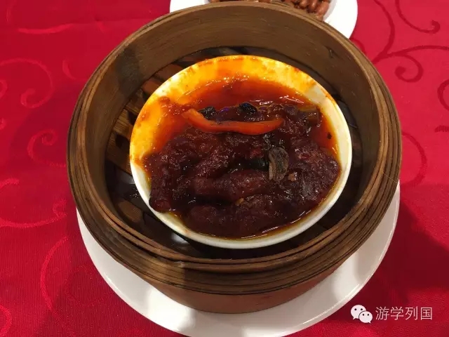 菲律宾游学物品攻略,菲律宾游学学英语