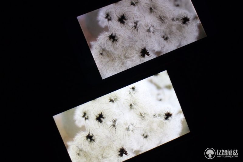 云狐a7黄金版,a7w评测