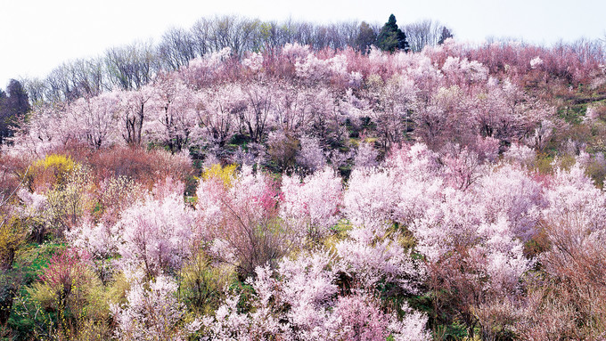 你和上帝的视角只差一台无人机!大连-旅顺