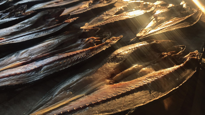 你和上帝的视角只差一台无人机!大连-旅顺