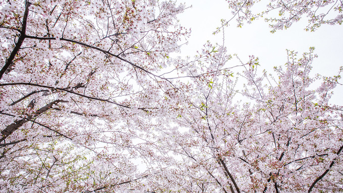 你和上帝的视角只差一台无人机!大连-旅顺