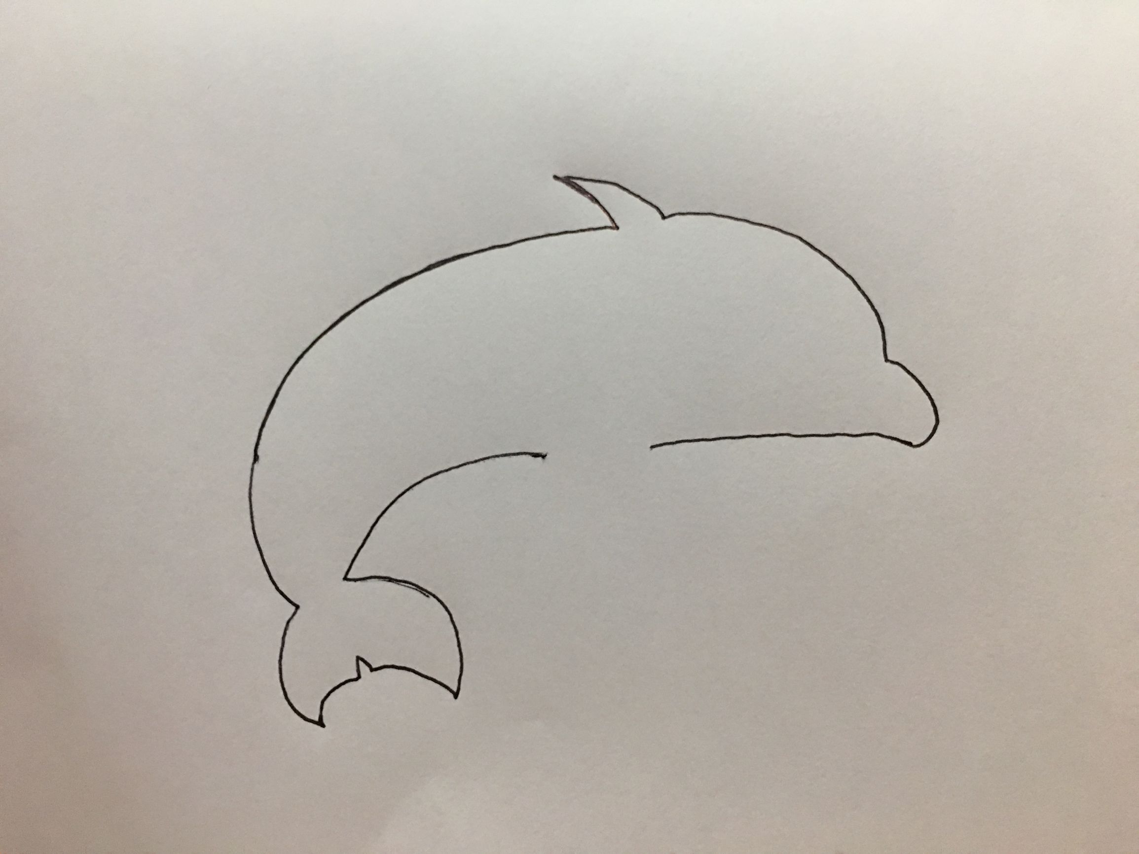 小海豚过生日简笔画,迷你小海豚泡泡简笔画