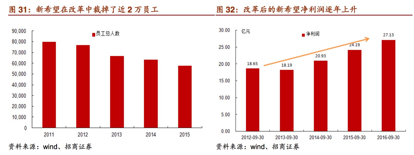 新希望饲料发展,新希望饲料深度分析
