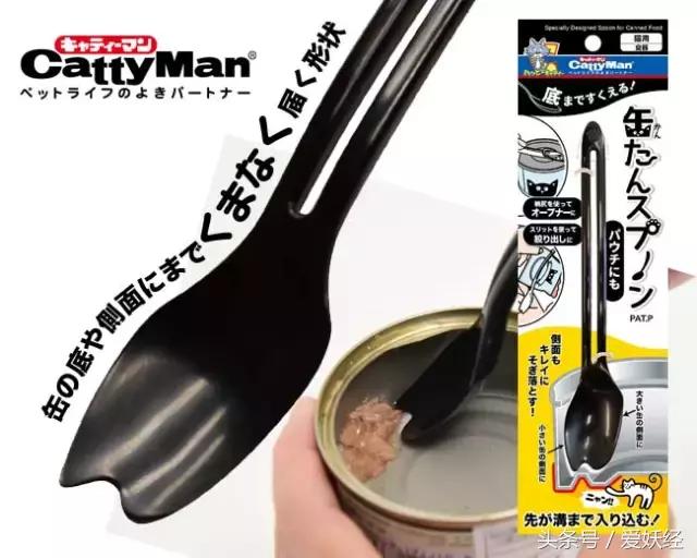 爱妖经｜赛场猫咪同款用品，主子们都拒绝不了的诱惑