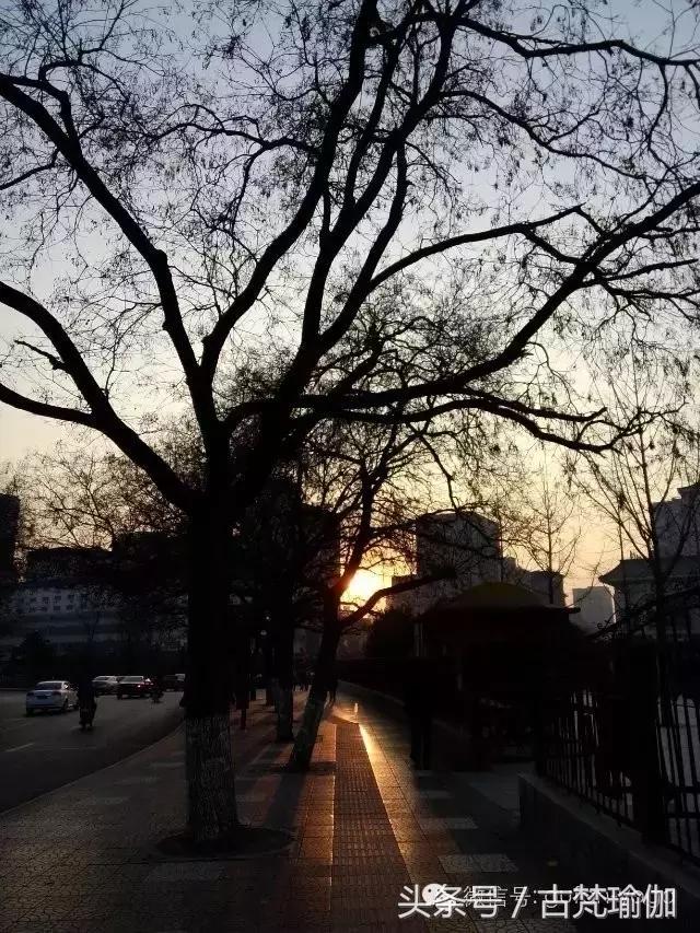 用心开好瑜伽馆,在一座温暖的城市开一间瑜伽馆