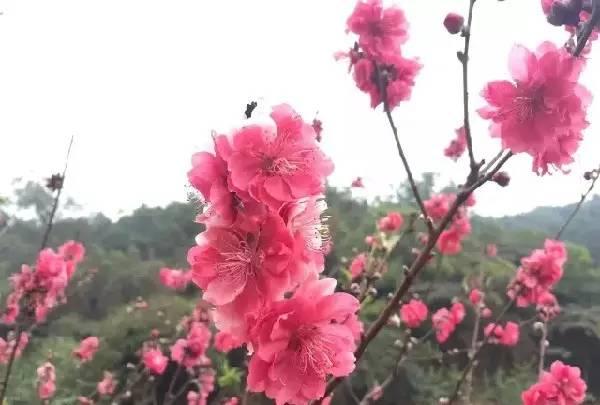 对不起我要去天津了,对不起我要去西安了