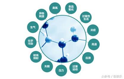 惠益生-功能性益生菌时代已到来