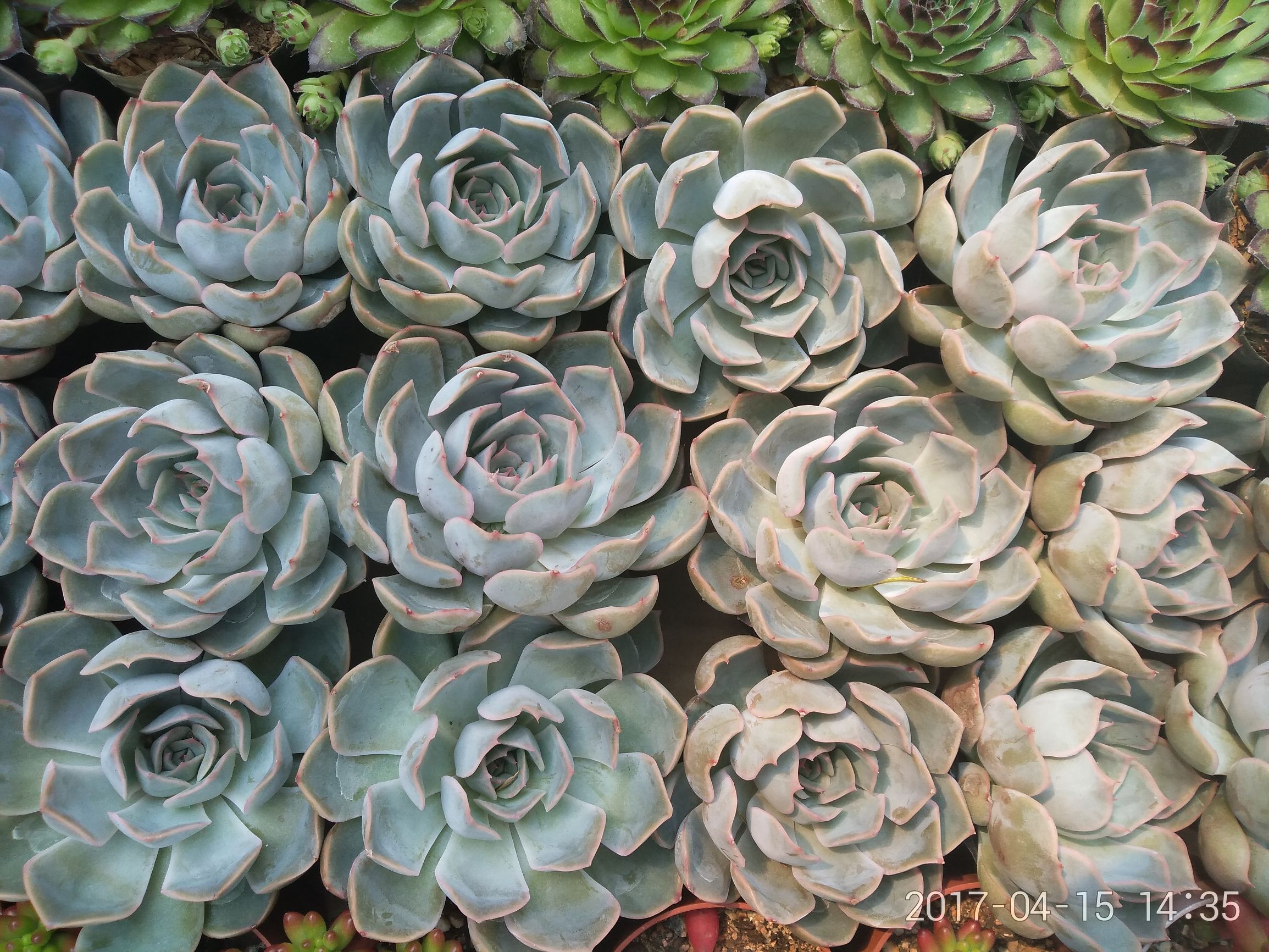 360手机n5慕斯黑高配版来袭,360新款手机n5深度评测