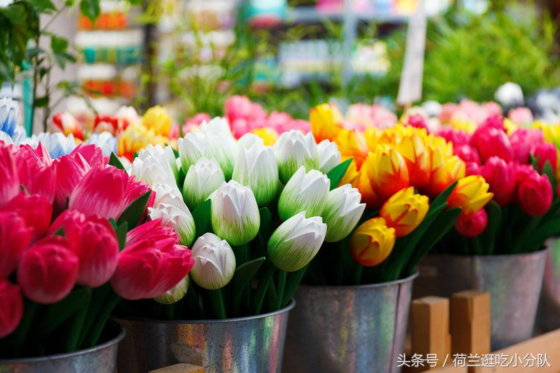 旅行必看|它是全球唯一的水上鲜花市场,买花逛吃两不误!