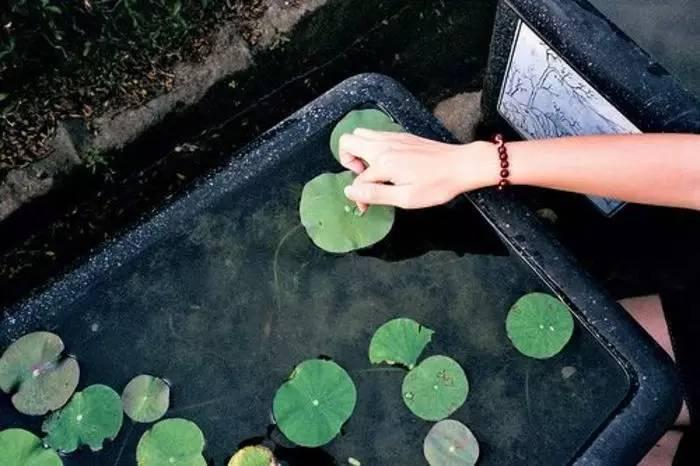 你有冷香丸吗？你还在谷雨过敏吗？