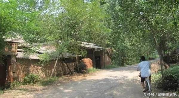 丰县的夏天,丰县人的回忆