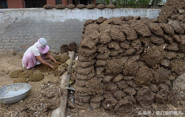农民总结的种地顺口溜,老祖宗总结的种地顺口溜