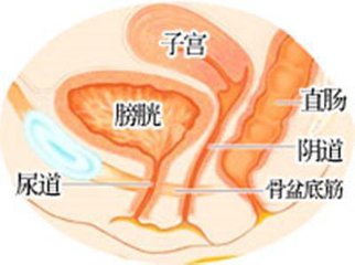 孕妇尿频怎么办最有效,孕妇尿频怎么办教你一招