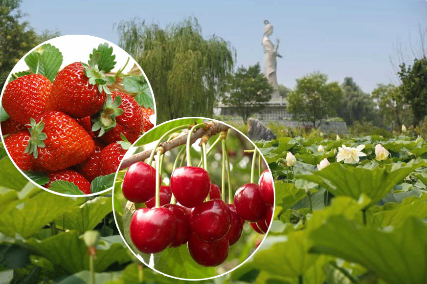 首届“山东好礼·一城一品”评选启动,选出你心中的“淄博礼物”