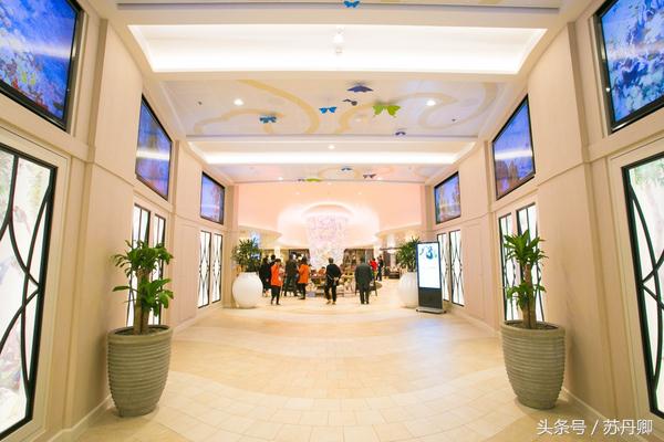 邮轮旅行的好处是什么,乘邮轮旅游的10大优点