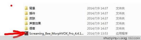 MorphVOXPro和VCS7.0.29汉化*声器变**使用